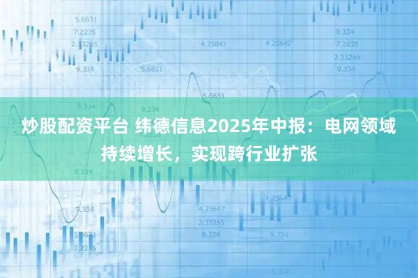 炒股配资平台 纬德信息2025年中报：电网领域持续增长，实现跨行业扩张