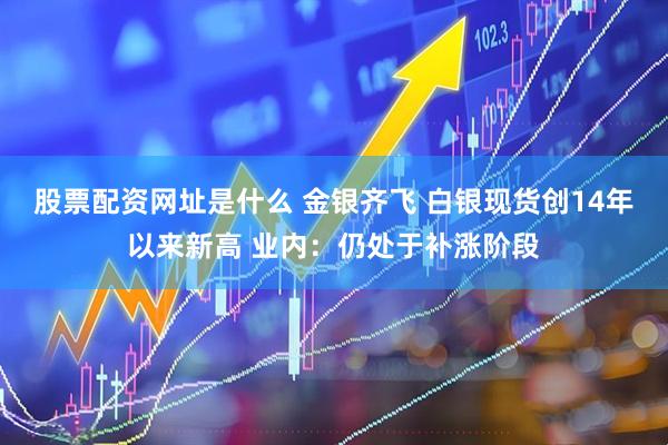 股票配资网址是什么 金银齐飞 白银现货创14年以来新高 业内:仍处于补涨阶段