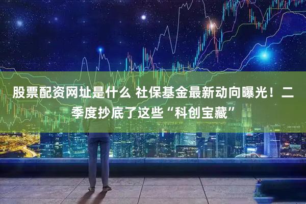 股票配资网址是什么 社保基金最新动向曝光!二季度抄底了这些“科创宝藏”