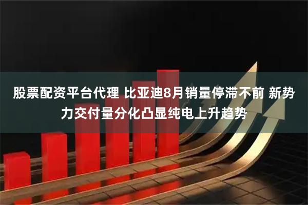 股票配资平台代理 比亚迪8月销量停滞不前 新势力交付量分化凸显纯电上升趋势