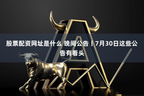 股票配资网址是什么 晚间公告丨7月30日这些公告有看头